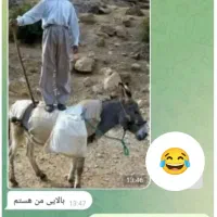 کارت ملی گم کردم