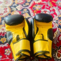 دست کش بوکس|تجهیزات ورزشی|برازجان, |دیوار