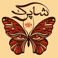 تسویه انواع کارتها