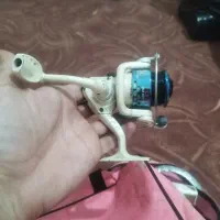 چرخ ماهیگیری