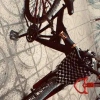 دوچرخه 24 استاتیک