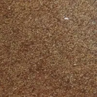 بذر یونجه