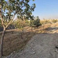 چهار دیواری۵۰۰متر دهشاد بالا