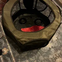 سگ پامر|سگ|قدس, شهرقدس|دیوار