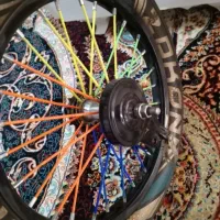 رینگ اسپرت دوچرخه سایز 16|دوچرخه، اسکیت، اسکوتر|پیرانشهر, |دیوار