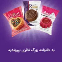 استخدام بازاریاب با تجربه شرکت هوم پخش پاسارگاد|استخدام بازاریابی و فروش|بیرجند, |دیوار