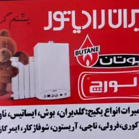 نصب وتعمیرات تخصصی پکیج،آبگرمکن و تصفیه آب خانگی|خدمات پیشه و مهارت|زنجان, |دیوار