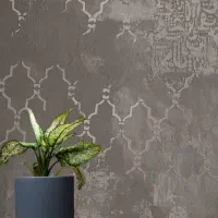 مجری پتینه مدرن و نقاش ساختمان|خدمات پیشه و مهارت|بناب, |دیوار