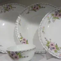 ظروف پذیرایی ارکوپال