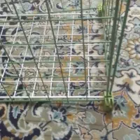 قفسه مشبک