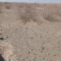 زمین-چشمه-زیارت