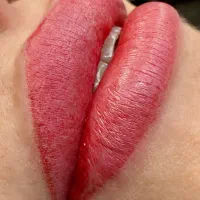 شیدینگ لب و رفع تیرگی لب|خدمات آرایشگری و زیبایی|بوشهر, |دیوار