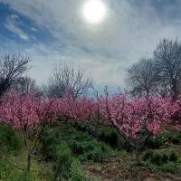 3000-متر-باغ-شهرکی