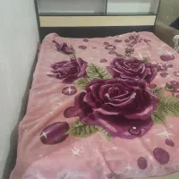تخت دونفرام دی اف