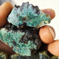 سنگ های شجر سبز