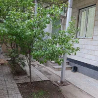 سوئیت ویلایی دوبلکس با حیاط و پارکینگ|اجارهٔ کوتاه‌مدت آپارتمان و سوئیت|خلخال, |دیوار