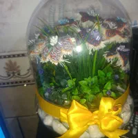 تعدادی پته|پرده، رانر، رومیزی|کرمان, |دیوار