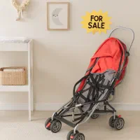 کالسکه عصایی