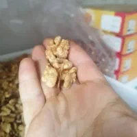 باسلام