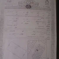 زمین تجاری 50متری