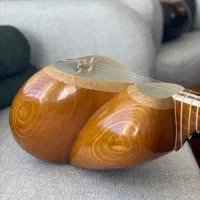 تار مبین ،حرفه ای