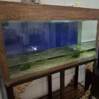 آکواریوم ابعاد ۱۳۵×۷۵×۴۰