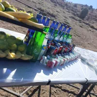 تشریفات مجالس|خدمات پذیرایی، مراسم|بجنورد, |دیوار