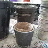 گلدان پلاستیکی