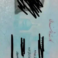 شناسنامه گمشده