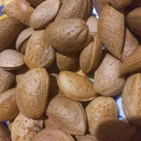 بادام تازه امسال