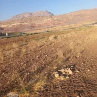 زمین باغ .کشاورزی