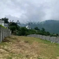 زمین پلاک اول جنگل+بخربساز