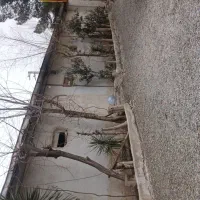 سالن|فروش دفتر صنعتی، کشاورزی، تجاری|قلعه نو, |دیوار