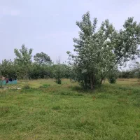 زمین-به-مساحت-400متر-مسکونی