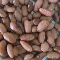 لوبیاچیتی تازه ۳۶۰|خوردنی و آشامیدنی|قم, انصار‌الحسین|دیوار