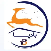 پیک بادپا ارسال طلا و جواهر تضمینی درتهران