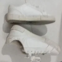 کفش ونس سالم و تمیز سایز بزرگ|کیف، کفش، کمربند|صفادشت, |دیوار