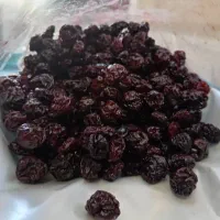 آلبالو بدون هسته