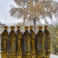 روغن زیتون اصل ۳۳۰/۰۰۰