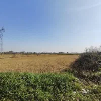 3800متر مزرعه دو بر بیجار مکانیزه شلمان|فروش زمین و ملک کلنگی|شلمان, |دیوار