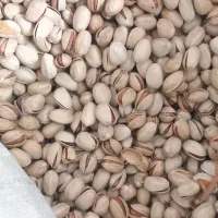 پسته کله قوچی|خوردنی و آشامیدنی|مشهد, شهرک مهر آباد|دیوار