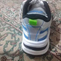 کفش نو|کیف، کفش، کمربند|شیراز, لشکری‎|دیوار