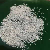 فروش عمده برنج عنبربو عنبر بو با قیمت رقابتی|خوردنی و آشامیدنی|تهران, شهرک ولیعصر جنوبی|دیوار