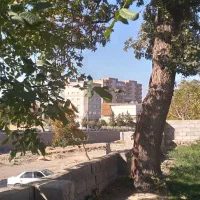 باغ برچایکنار اسکو|فروش زمین و ملک کلنگی|اسکو, |دیوار