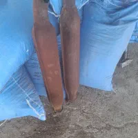 اگزوز رومانی