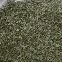 ازگند کوهی امسالی