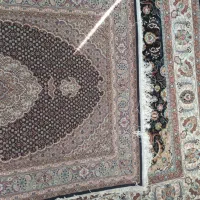 فرش بیجار|فرش|اردبیل, |دیوار