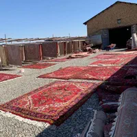 شرکت قالیشویی آقای فرش تبریز(بدون کرایه)|خدمات نظافت|تبریز, |دیوار
