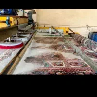 قالیشویی پیمان