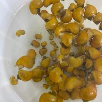 حلزون سیب|ماهی|هشتگرد, فاز ۳ مهستان|دیوار